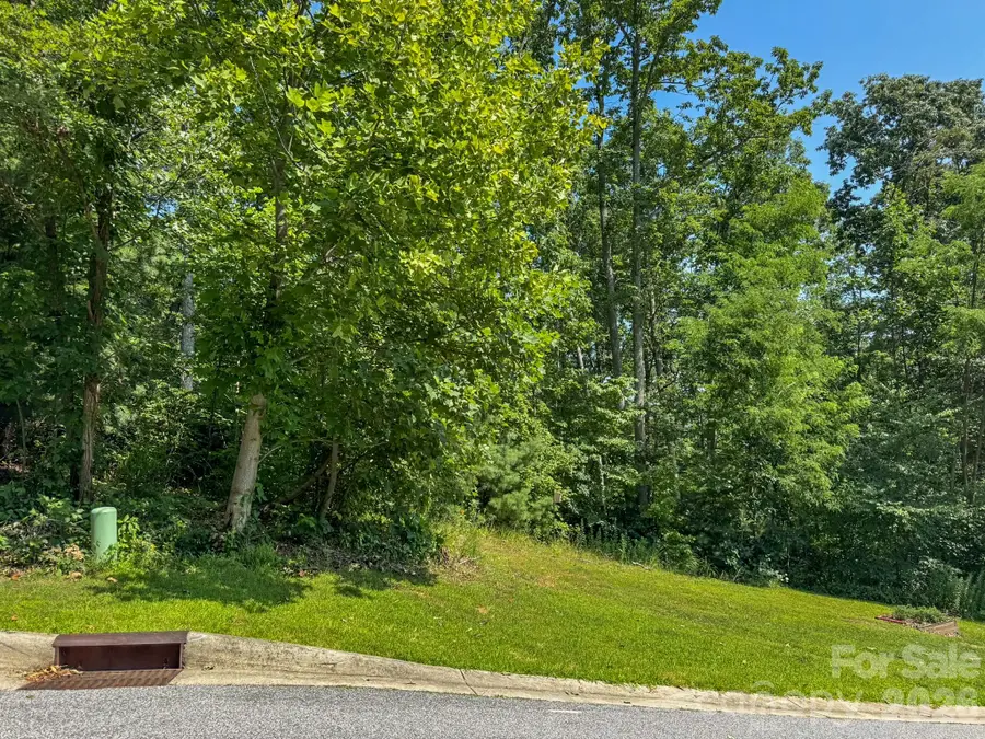 195 Carriage Crest Drive, Hendersonville, NC 28791 - #2