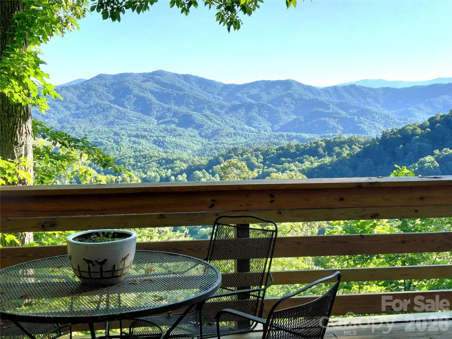 314 Blackberry Lane, Clyde, NC 28721 - #2