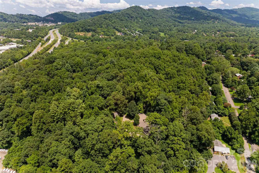 711 Shawnee Trail, Asheville, NC 28805 - #3