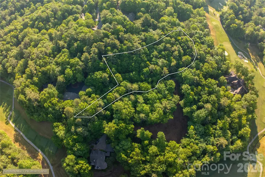 J 49 Cherokee Trace, Lake Toxaway, NC 28747 - #3