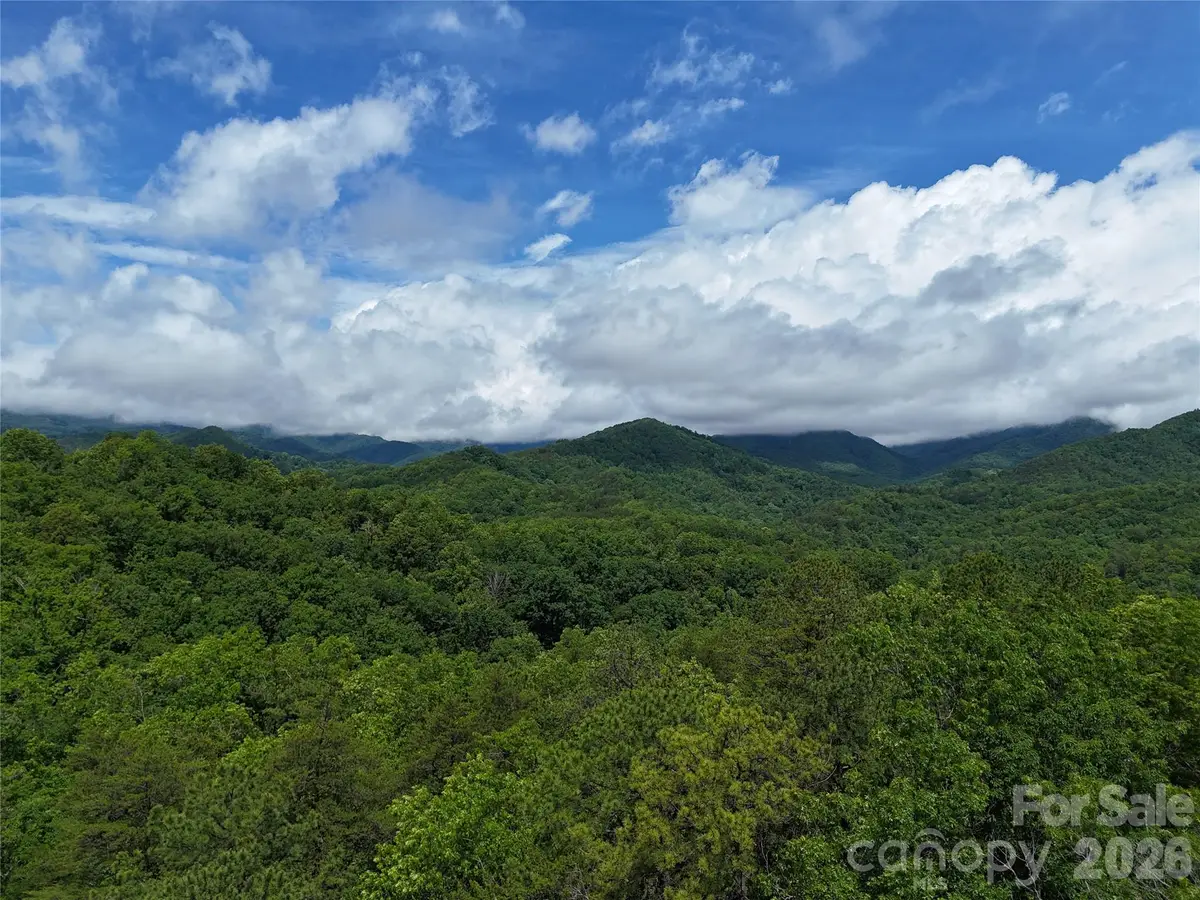 83 Shanty Town Road, Old Fort, NC 28762 - #1