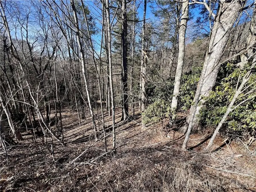 n/a 321 Highway N, Sugar Grove, NC 28679 - #3