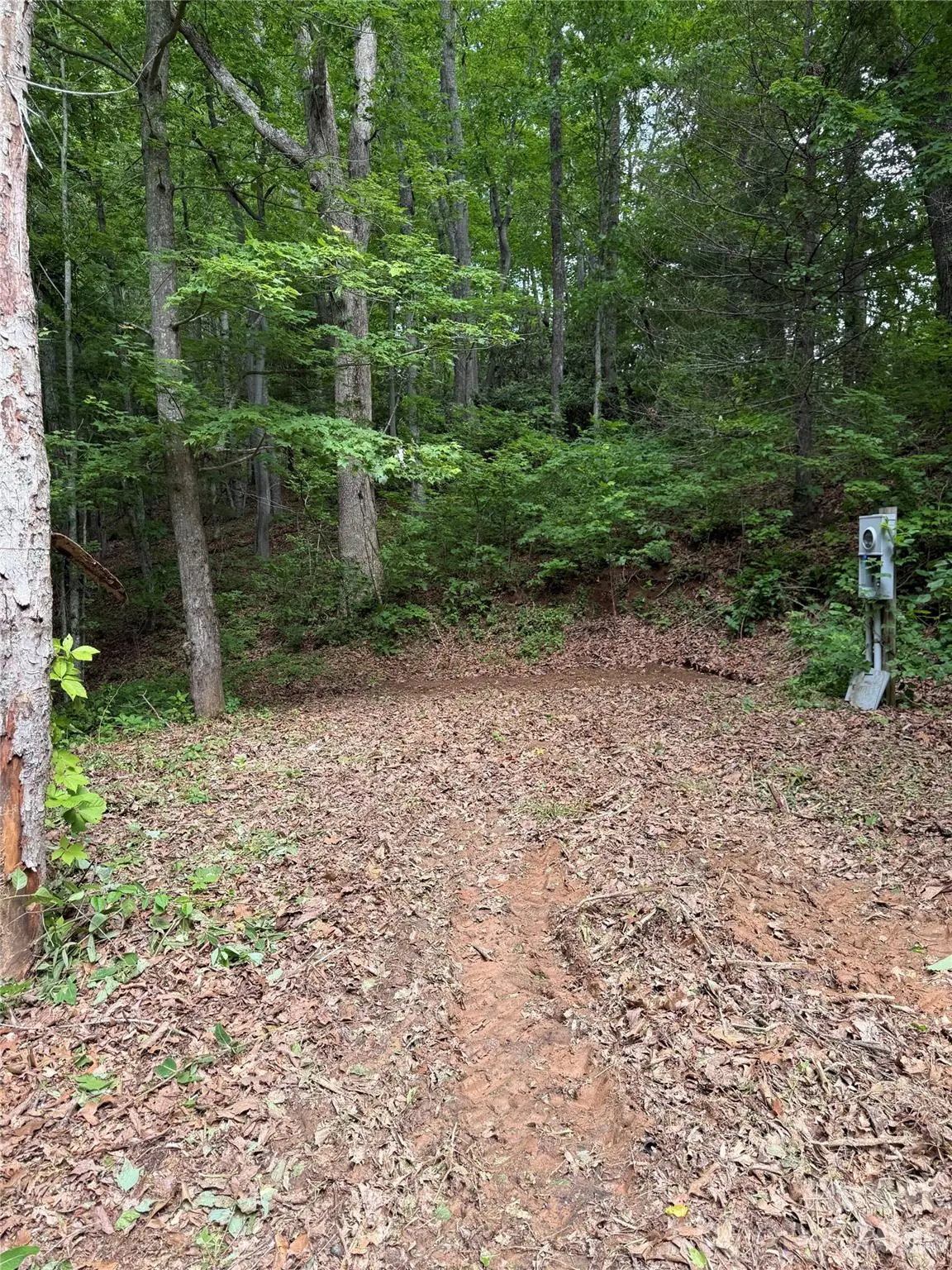 370 Spivey Mountain Road, Asheville, NC 28806 - #1