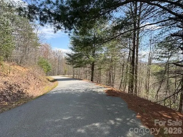 192 Pine Cone Trail #21, Marshall, NC 28753 - #3