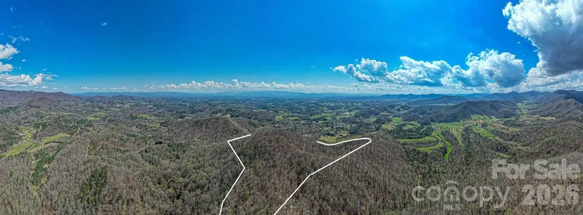 9999 Sandy Mush Creek Road, Leicester, NC 28748 - #1