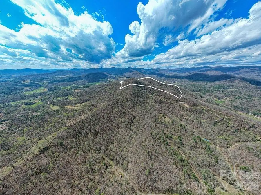 9999 Sandy Mush Creek Road, Leicester, NC 28748 - #2