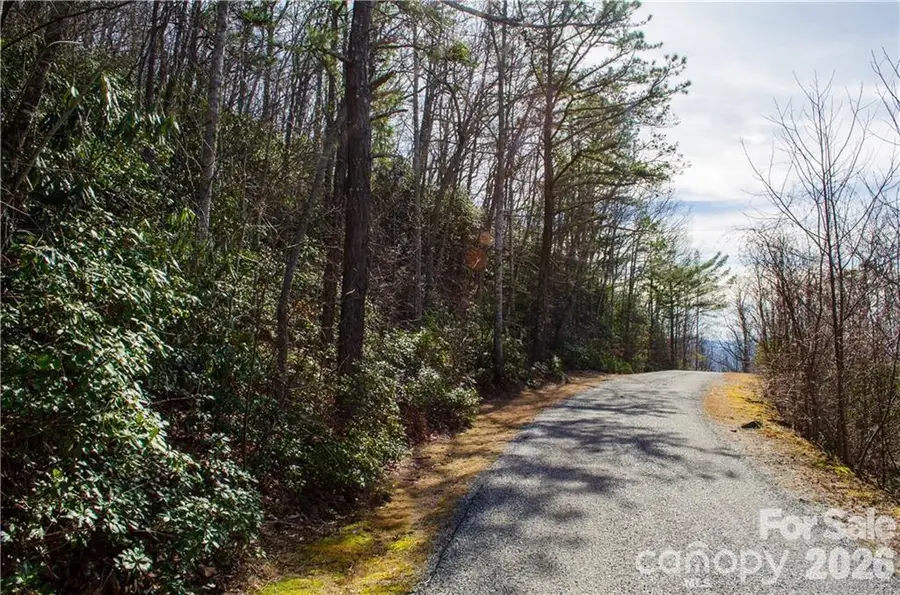 99999 Red Oak Forest Road #1418, Fairview, NC 28730 - #3