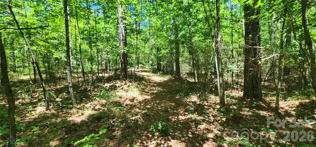171 Bambi Lane, Mill Spring, NC 28782 - #1