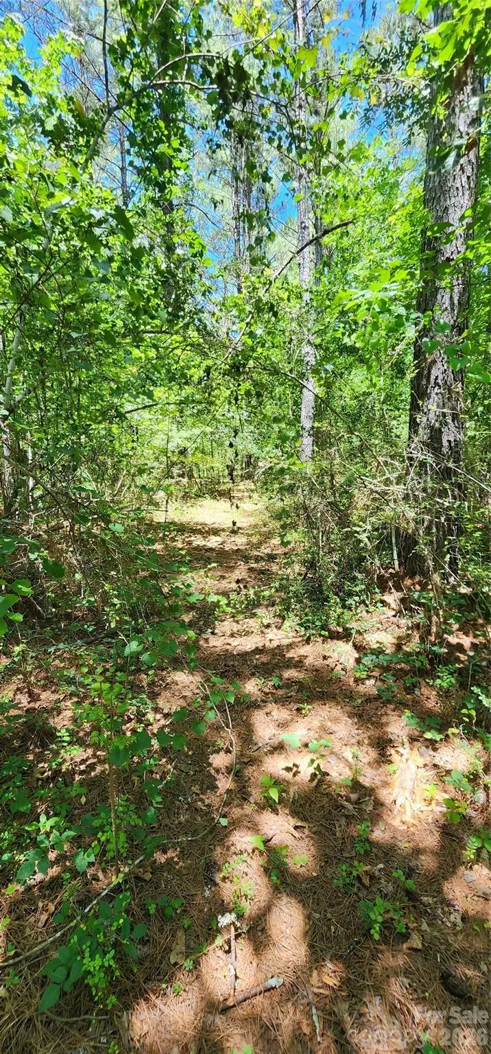 171 Bambi Lane, Mill Spring, NC 28782 - #2