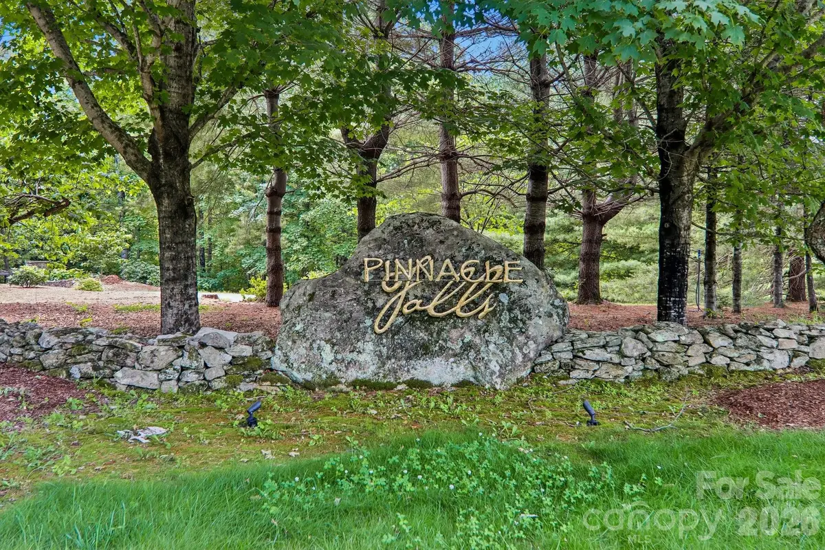 11 Magnolia Branch Drive, Zirconia, NC 28790 - #1