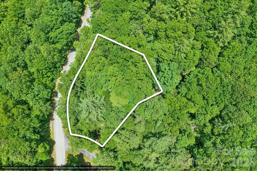 11 Magnolia Branch Drive, Zirconia, NC 28790 - #3