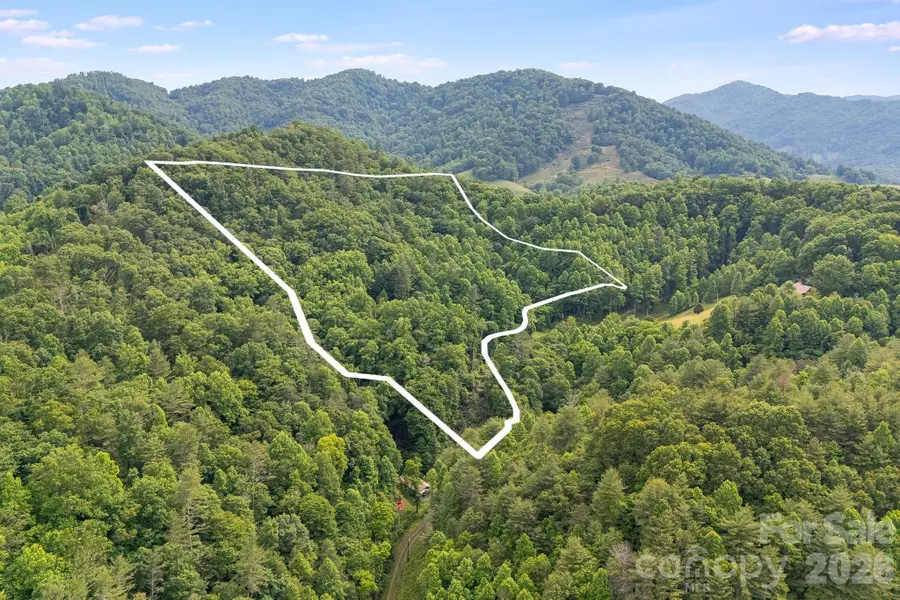 99999 Acorn Drive, Marshall, NC 28753 - #2