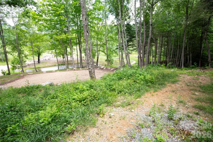 WR 29 Sierra Trail, Elk Park, NC 28622 - #3