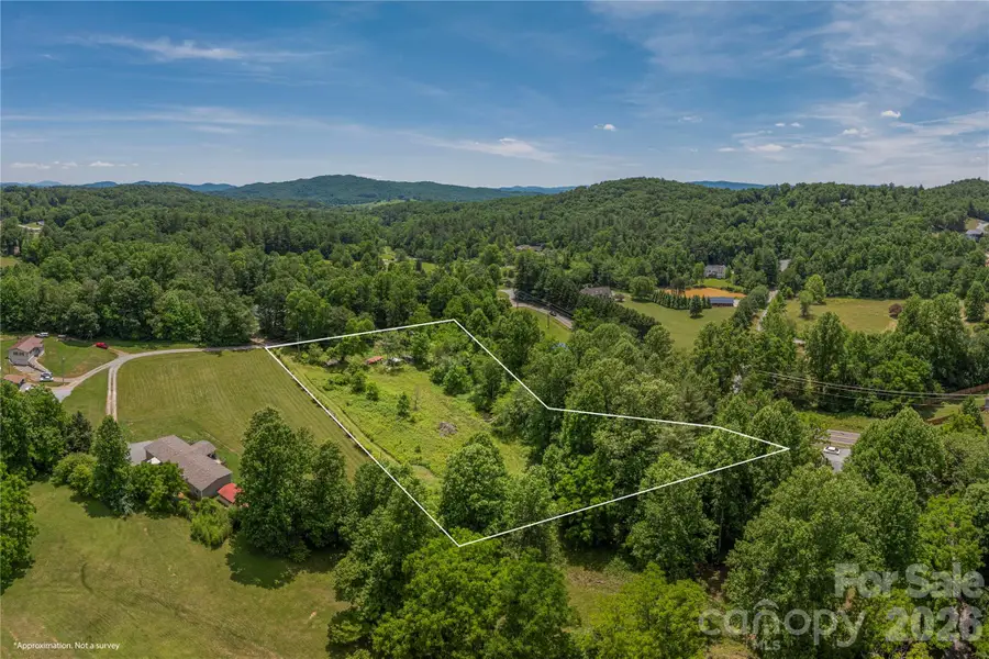 999 Pressley Lane, Horse Shoe, NC 28742 - #2