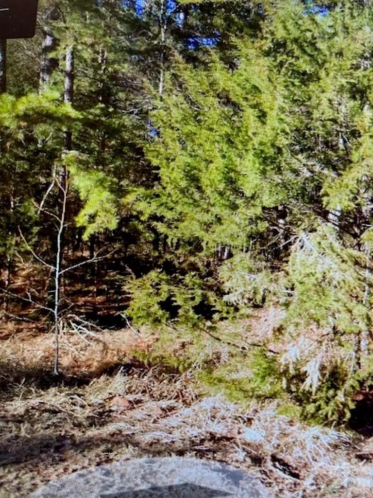 1220 Long Pine Church Road, Peachland, NC 28133 - #2