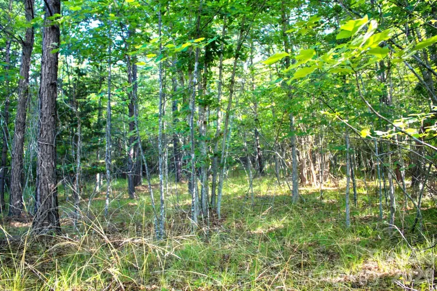 0 Cross Creek Drive #68, Rutherfordton, NC 28139 - #2