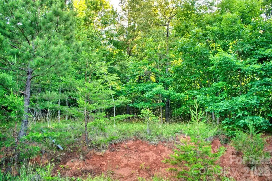 0 Cross Creek Drive #68, Rutherfordton, NC 28139 - #3