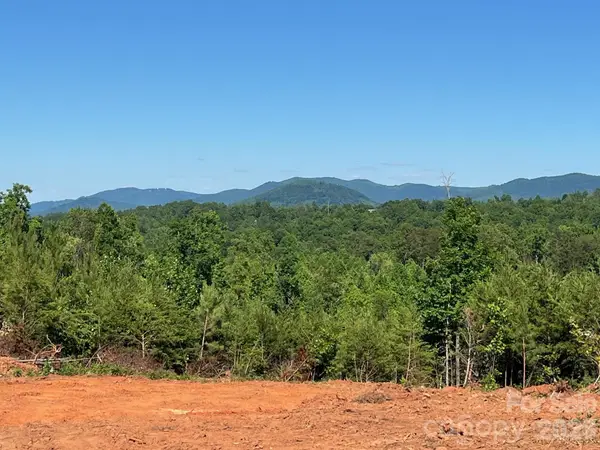 TBD Vein Mountain Road #20, Nebo, NC 28761