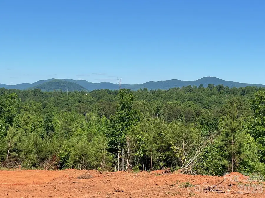 TBD Vein Mountain Road #20, Nebo, NC 28761 - #2
