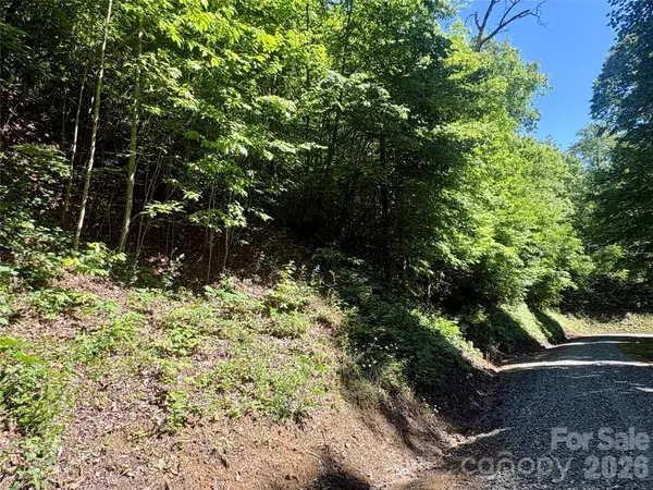 0 Middle Ridge #38, Whittier, NC 28789