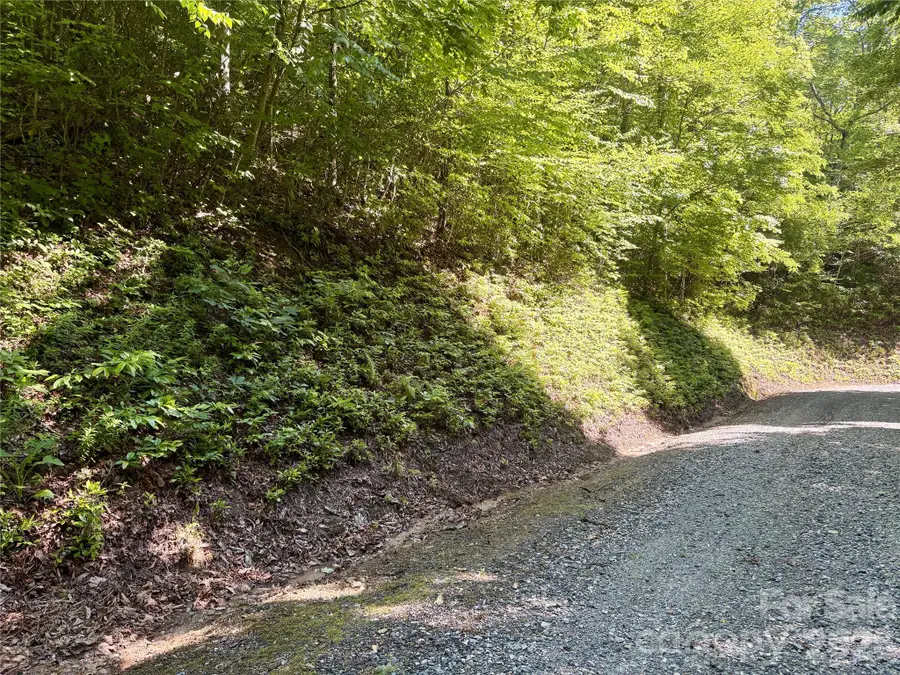 0 Middle Ridge #38, Whittier, NC 28789 - #2