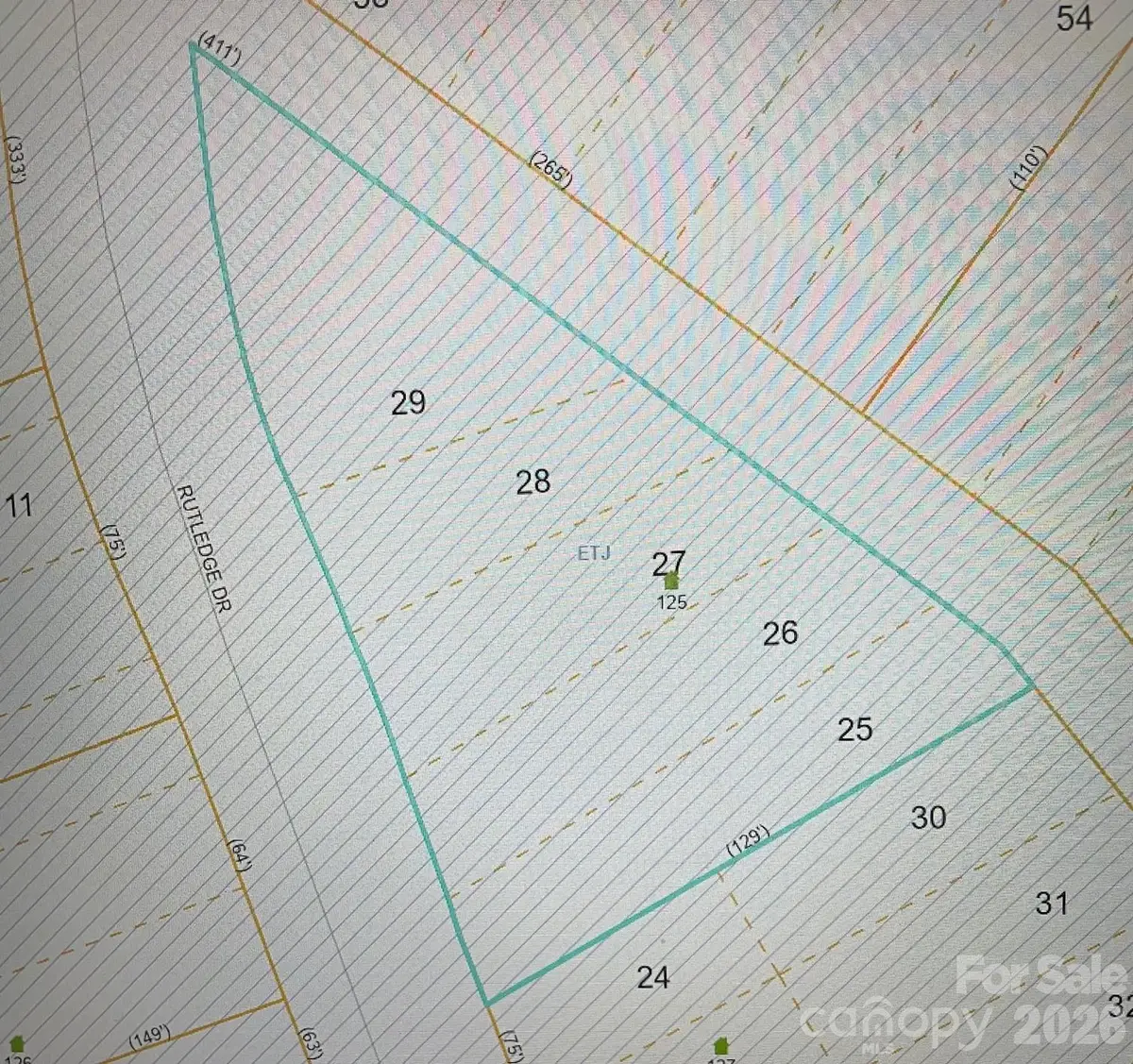 125 Rutledge Drive, Hendersonville, NC 28739 - #1