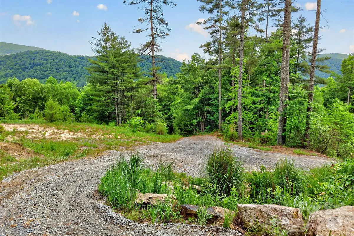 263 E Lester Lane, Hendersonville, NC 28739 - #1