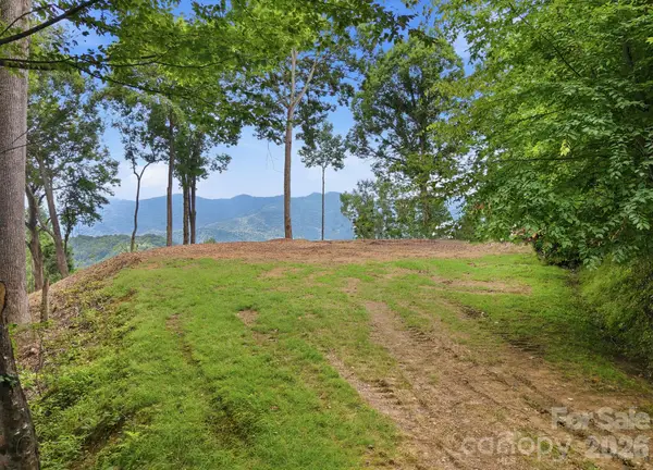 99999 Davidson Gap Road #79, Leicester, NC 28748