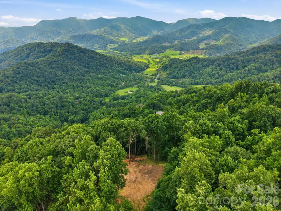 99999 Davidson Gap Road #79, Leicester, NC 28748 - #2