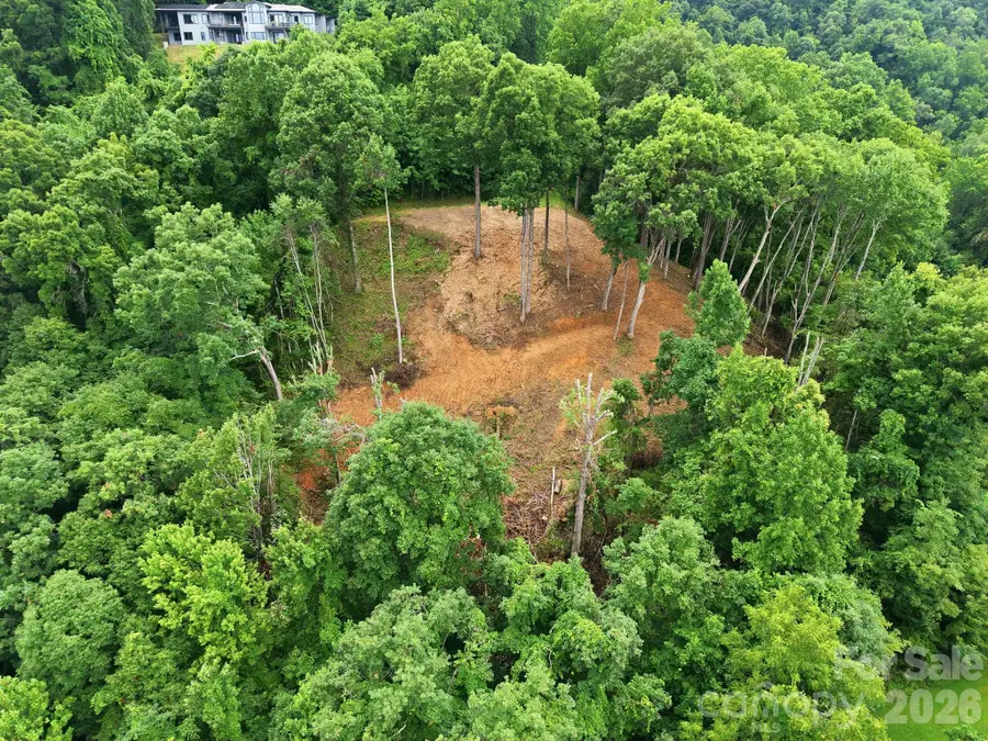 99999 Davidson Gap Road #79, Leicester, NC 28748 - #3