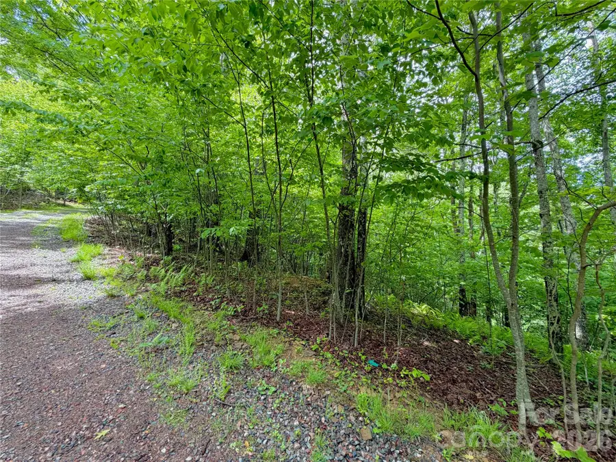 TBD Grandfather Watch Lane, Watauga, NC 28607 - #2