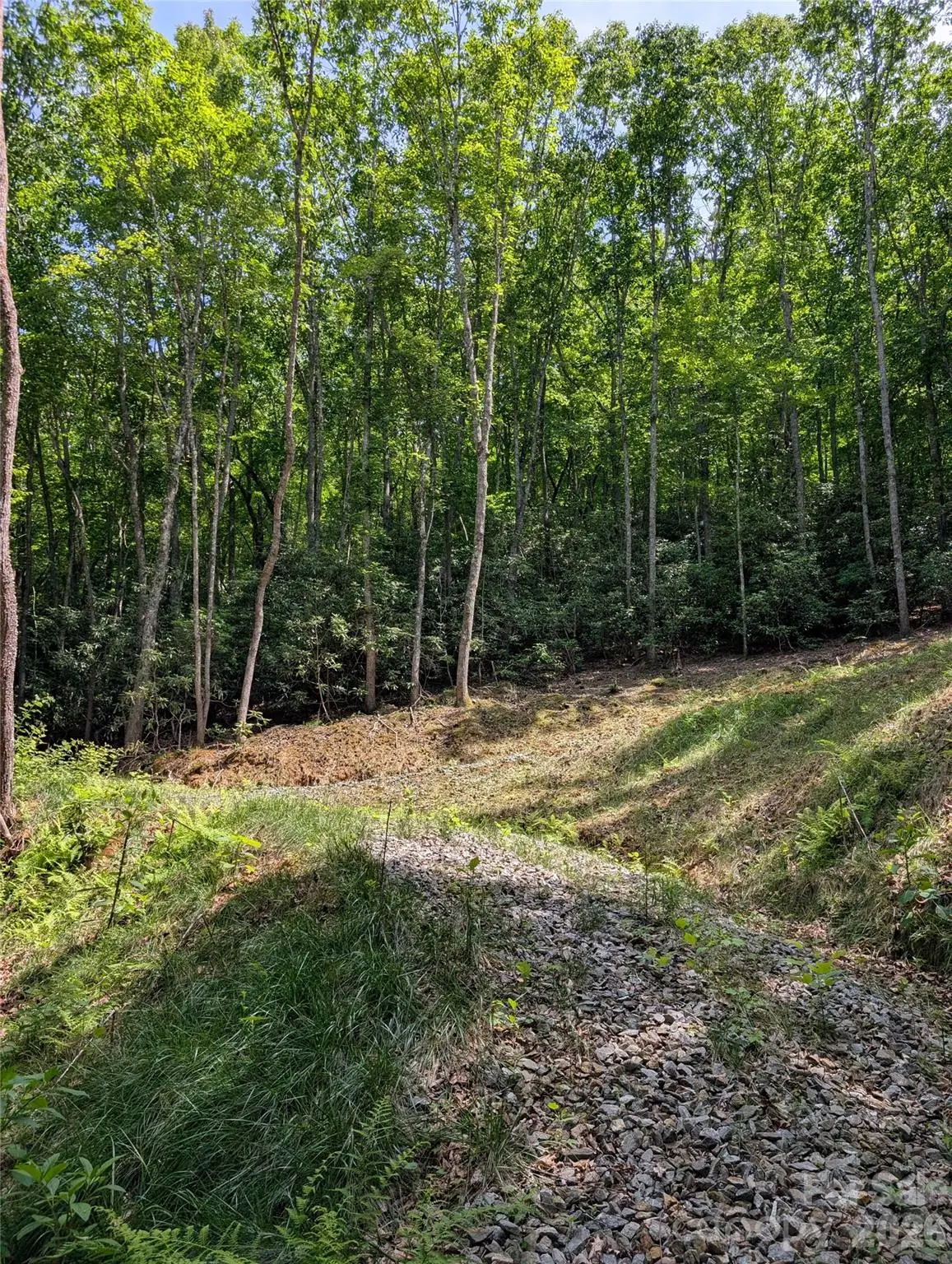000 Pisgah Highway, Candler, NC 28715 - #1