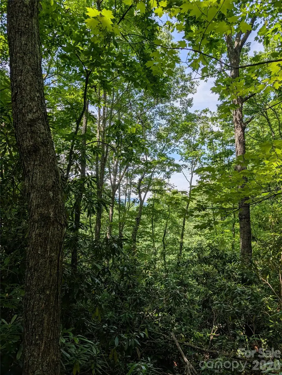 000 Pisgah Highway, Candler, NC 28715 - #2