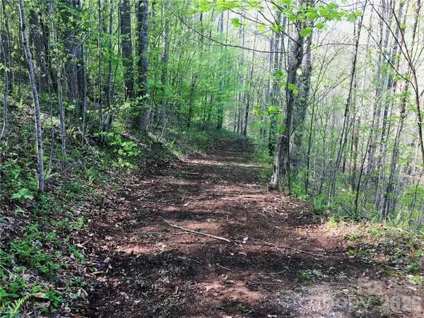 99 Fern Hill Drive, Mars Hill, NC 28754