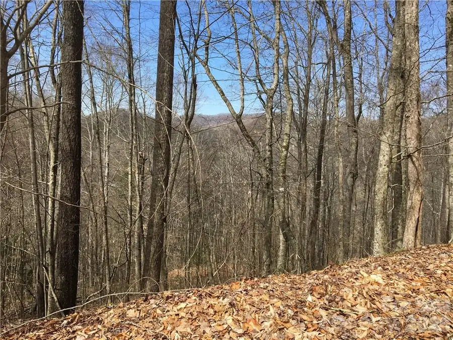 57 Fern Hill Drive, Mars Hill, NC 28754 - #3