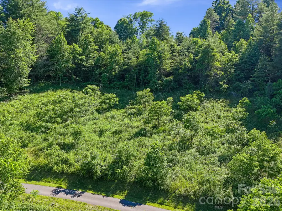 00 Us Hwy 19w Highway, Burnsville, NC 28714 - #3