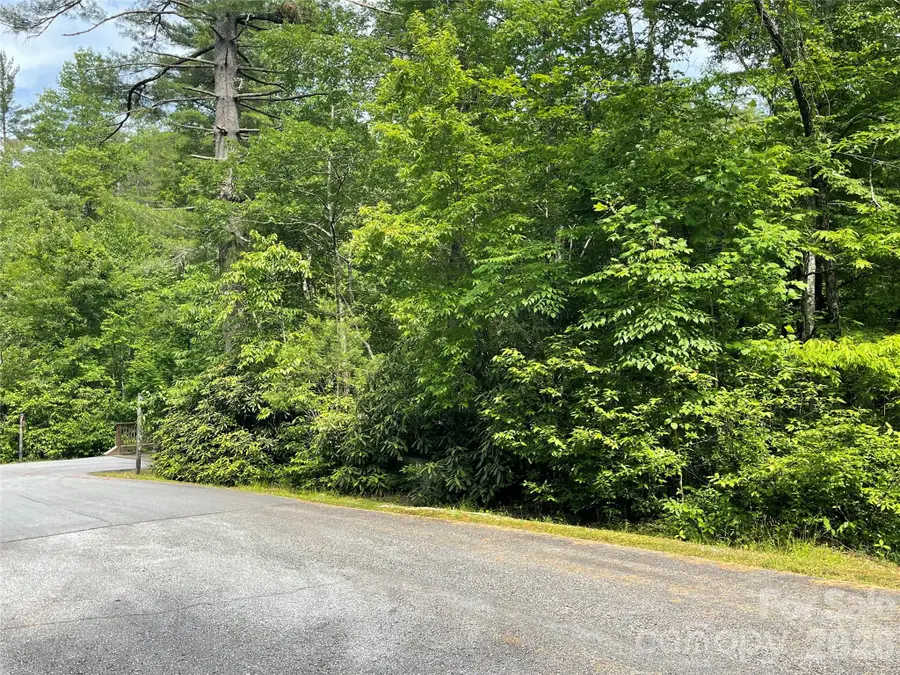 Lot 45 Abby Falls Drive, Rosman, NC 28772 - #3