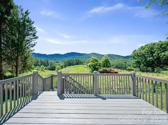 308 Browntown Road, Leicester, NC 28748 - #2