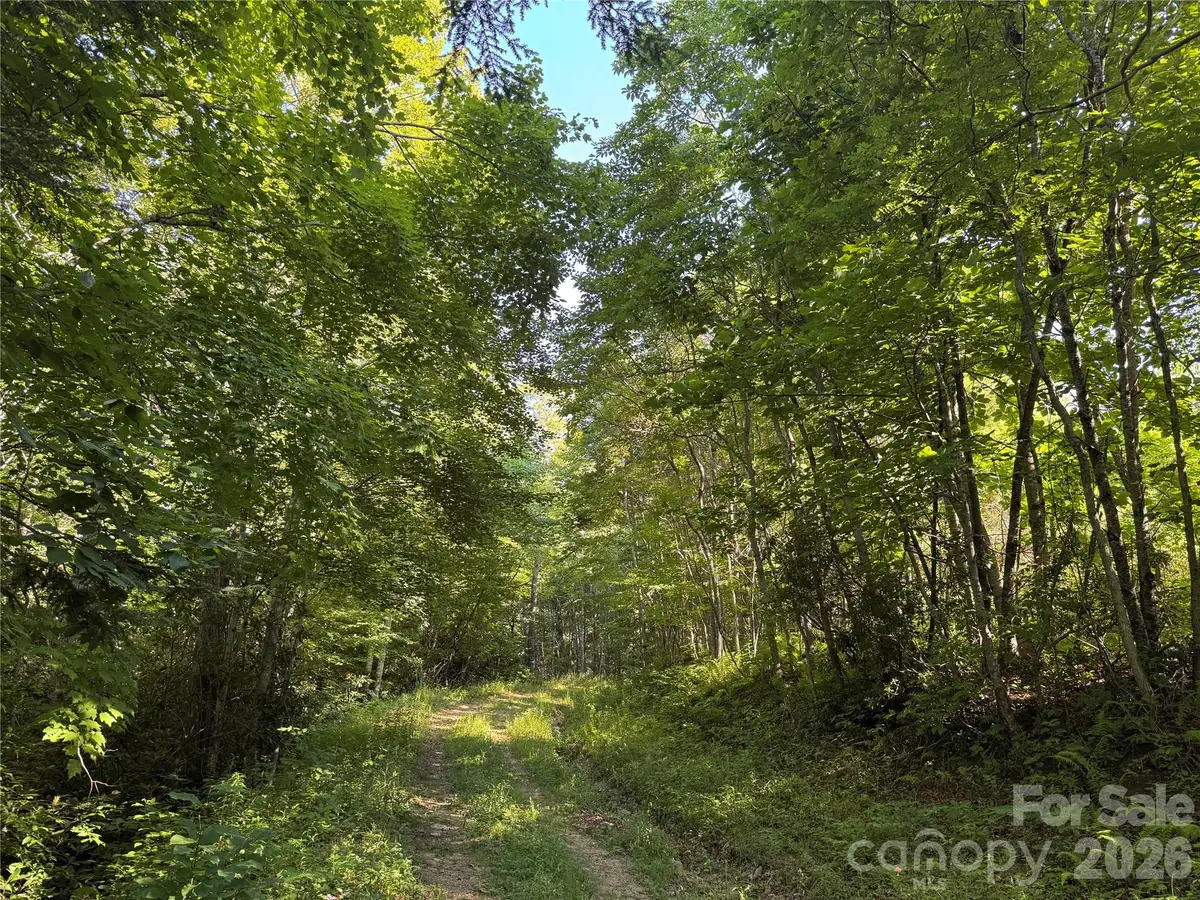 999999 Fairview Church Road, Lansing, NC 28643 - #1