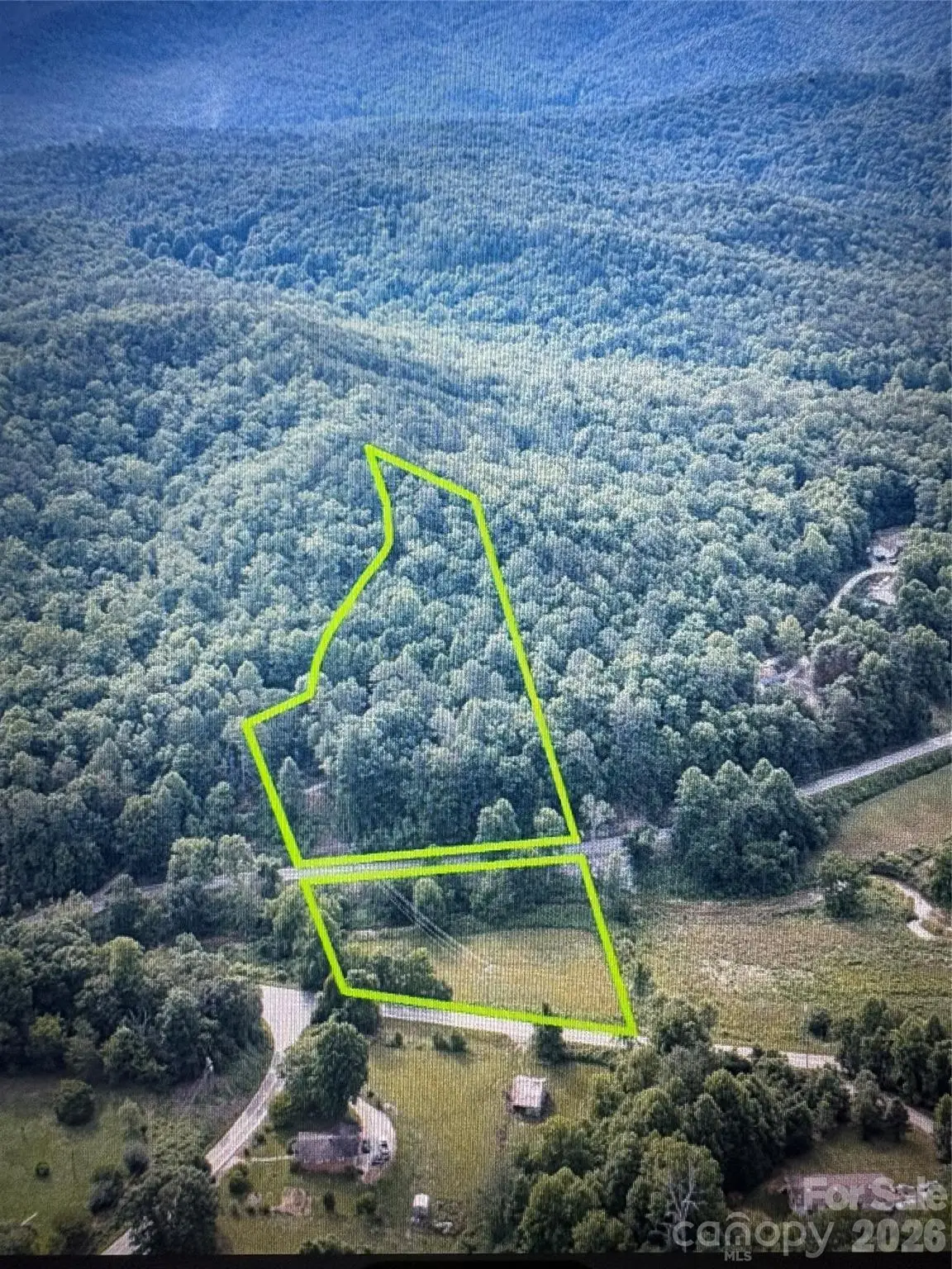 4733 Bat Cave Road, Old Fort, NC 28762 - #1