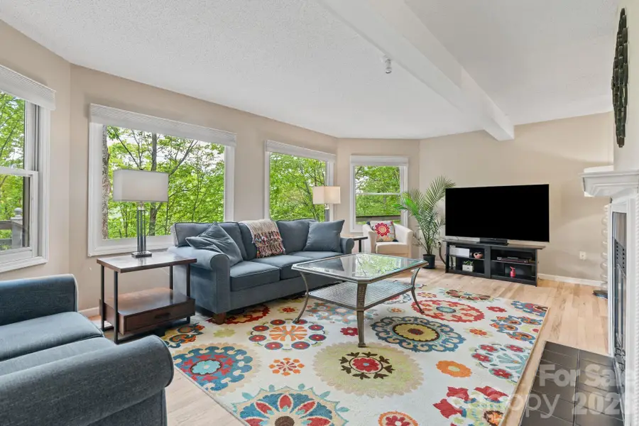 58 Sourwood Drive, Mills River, NC 28759 - #3