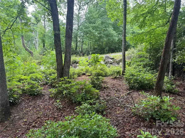 TBD Dogwood Trail, Spruce Pine, NC 28777