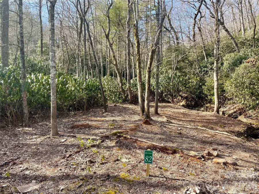 TBD Dogwood Trail, Spruce Pine, NC 28777 - #2
