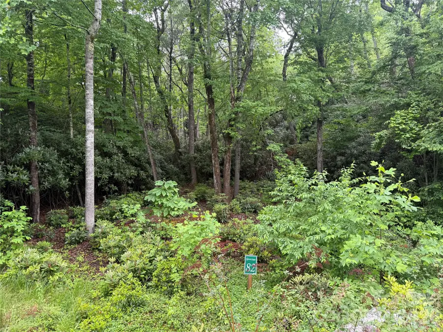 TBD Dogwood Trail, Spruce Pine, NC 28777 - #3