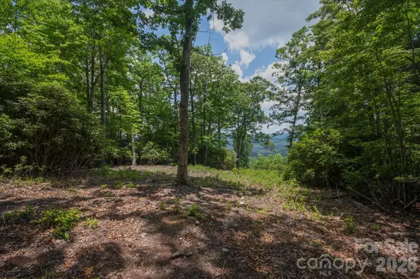 TBD Reserve Road #16, Pisgah Forest, NC 28768