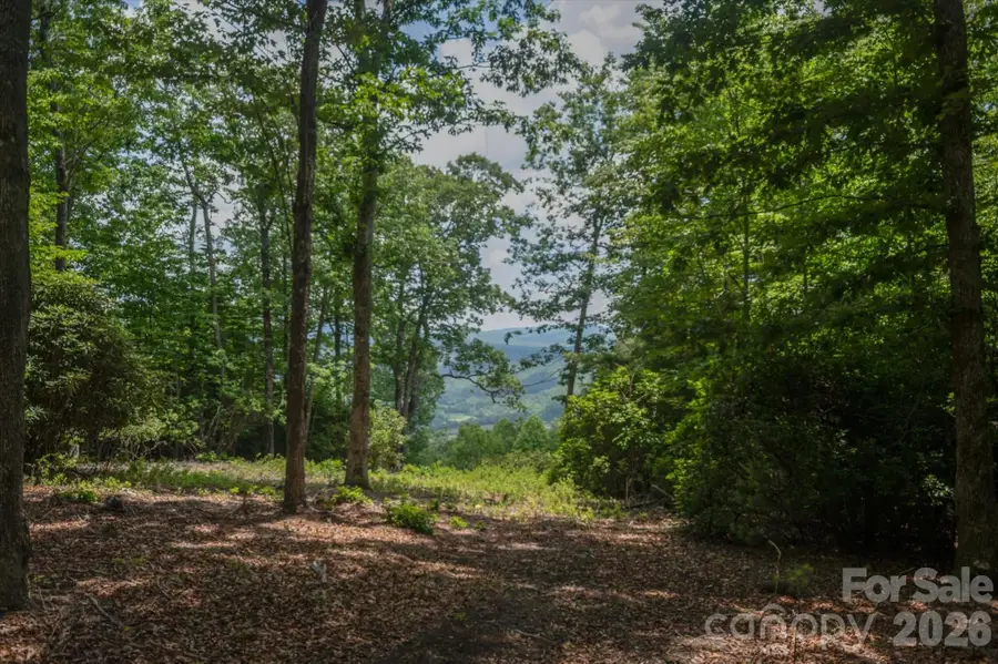 TBD Reserve Road #16, Pisgah Forest, NC 28768 - #3