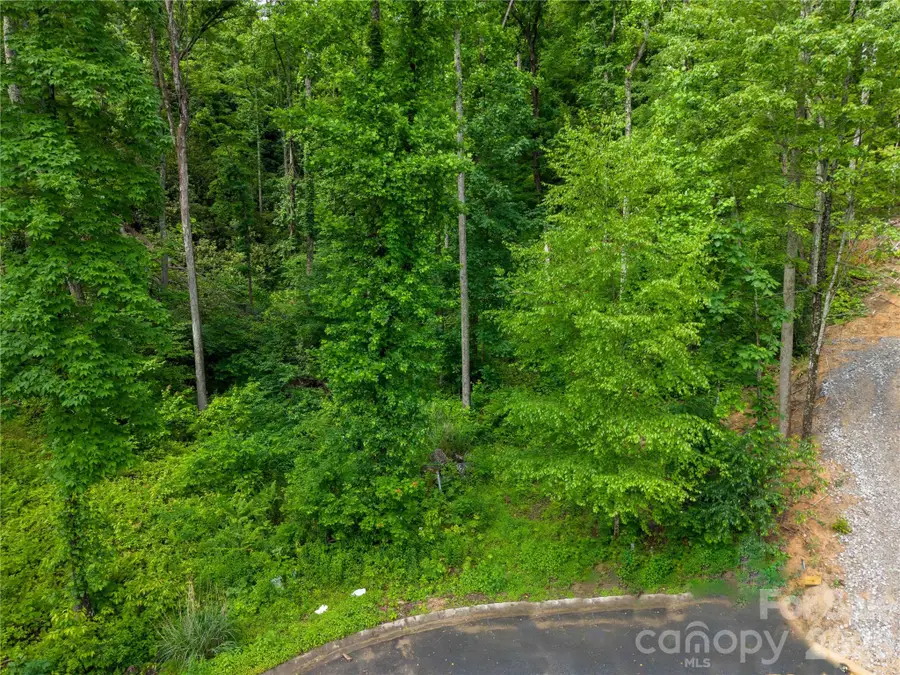 334 Carriage Crest Drive, Hendersonville, NC 28791 - #2