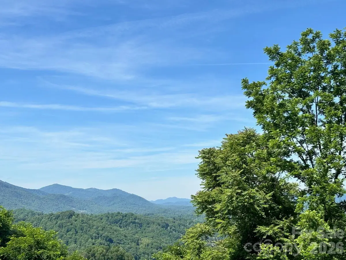 1771 Hughes Gap Road, Bakersville, NC 28705 - #1
