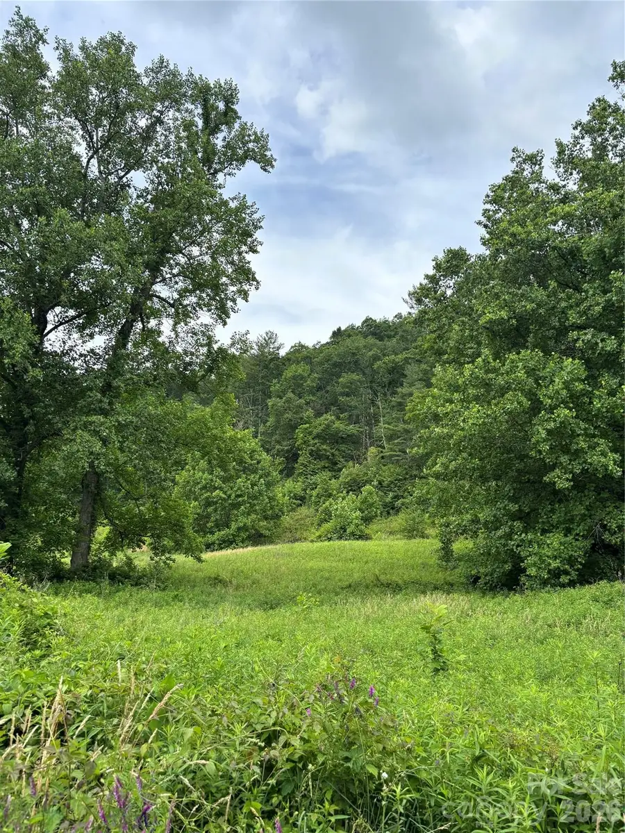 1771 Hughes Gap Road, Bakersville, NC 28705 - #2