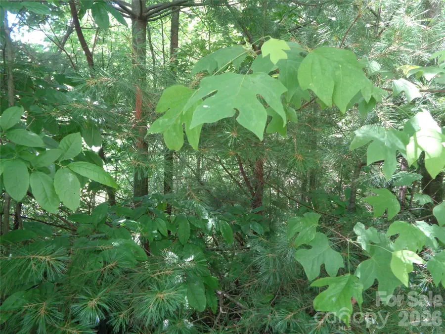 Lot 6 Peaks Creek Trail, Maggie Valley, NC 28751 - #3